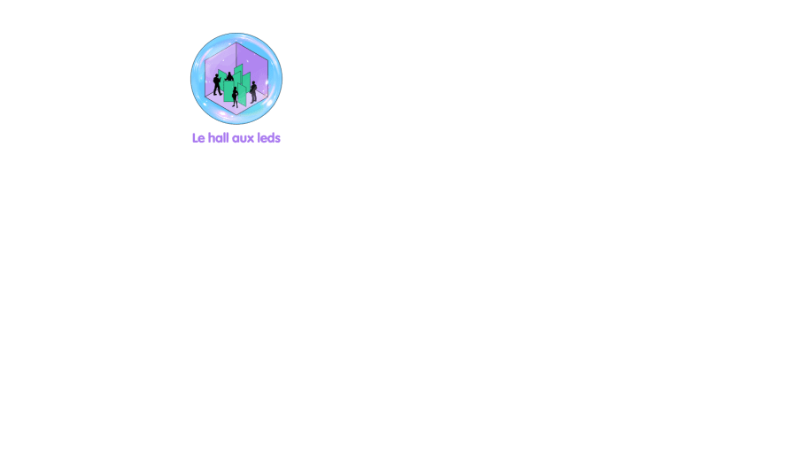 LE HALL AUX LEDS